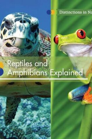 Cover of Reptiles and Amphibians Explained