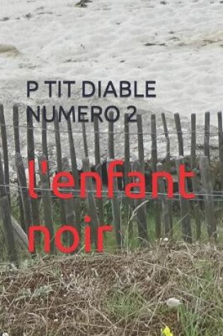 Cover of P Tit Diable Numero 2