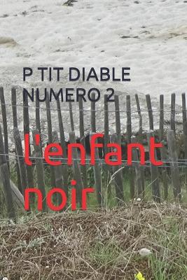 Cover of P Tit Diable Numero 2