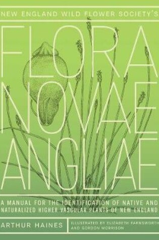 Cover of New England Wild Flower Society's Flora Novae Angliae