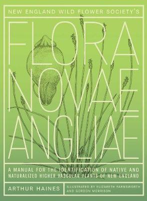 Book cover for New England Wild Flower Society's Flora Novae Angliae