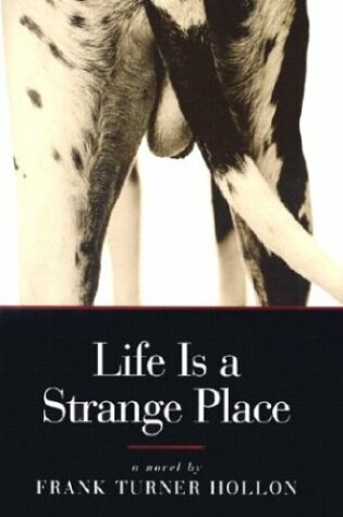Cover of Life is a Strange Place