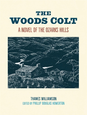 Book cover for The Woods Colt