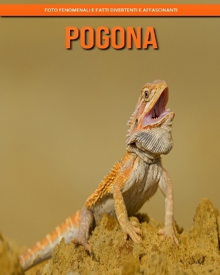 Book cover for Pogona