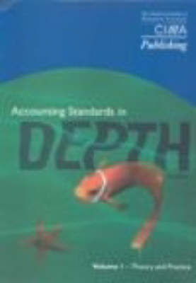 Book cover for accountancy standards in Depth