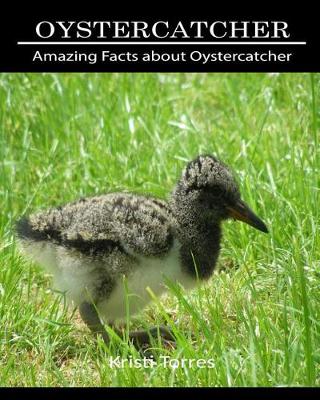 Book cover for Amazing Facts about Oystercatcher