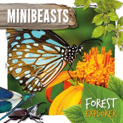 Book cover for Minibeasts