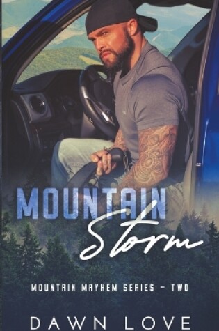 Cover of Mountain Storm