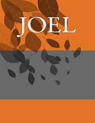 Book cover for Joel