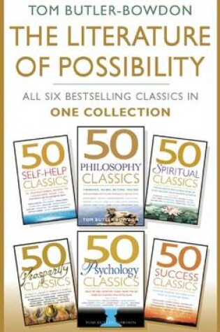 Cover of The Literature of Possiblity