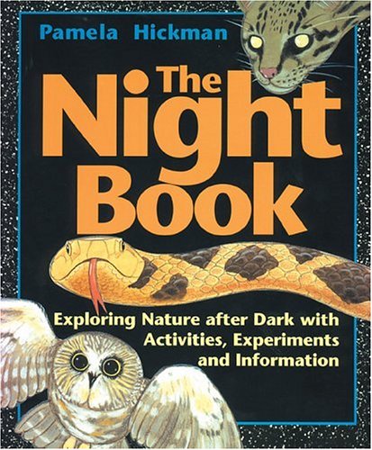 Book cover for The Night Book