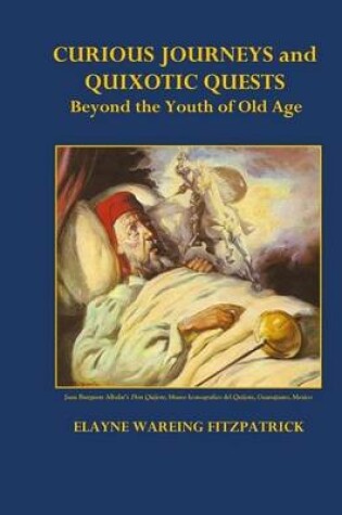 Cover of Curious Journeys and Quixotic Quests Beyond the Youth of Old Age