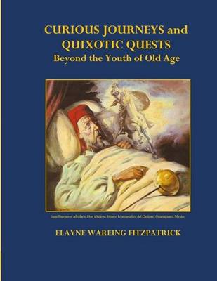 Book cover for Curious Journeys and Quixotic Quests Beyond the Youth of Old Age