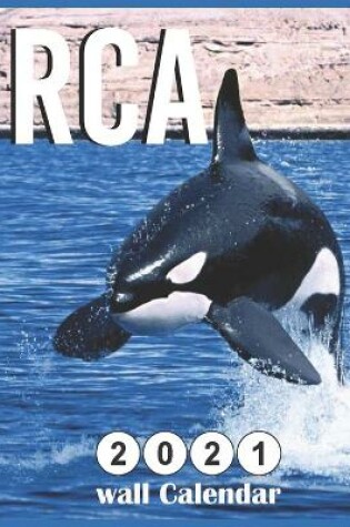 Cover of Orca 2021 wall calendar