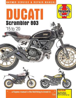 Book cover for Ducati Scrambler 803 (15 - 20) Haynes Repair Manual