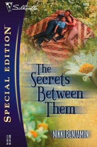 Cover of The Secrets Between Them