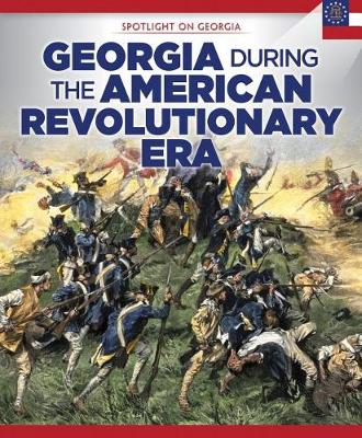 Book cover for Georgia During the American Revolutionary Era