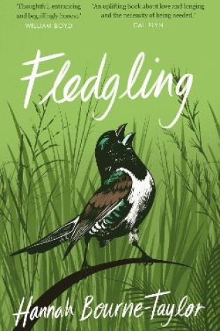 Cover of Fledgling