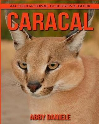 Book cover for Caracal! An Educational Children's Book about Caracal with Fun Facts & Photos