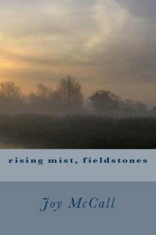 Cover of rising mist, fieldstones