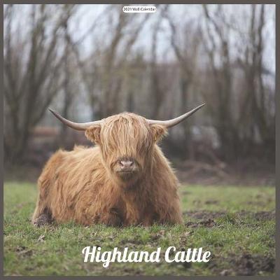 Book cover for Highland Cattle 2021 Wall Calendar