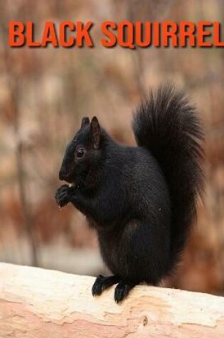 Cover of Black Squirrel