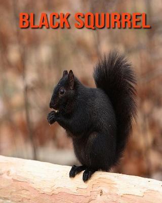 Book cover for Black Squirrel