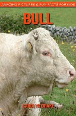 Cover of Bull