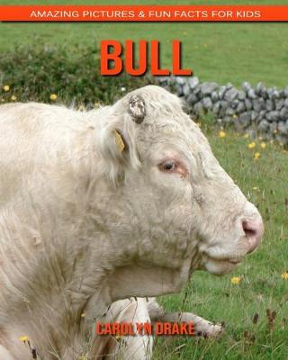 Book cover for Bull