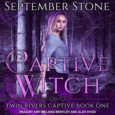 Book cover for Captive Witch