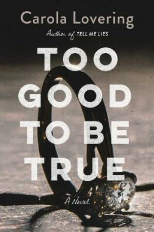 Cover of Too Good to Be True