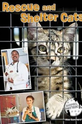 Cover of Rescue and Shelter Cats
