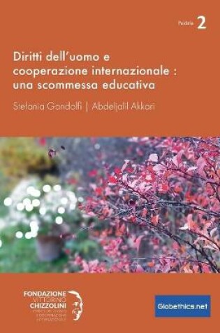 Cover of Diritti dell'uomo e cooperazione internazionale
