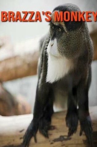 Cover of Brazza's Monkey