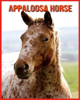 Book cover for Appaloosa Horse