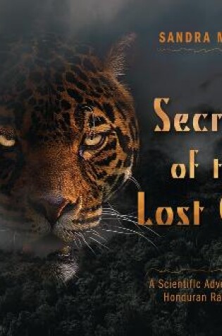 Cover of Secrets of the Lost City