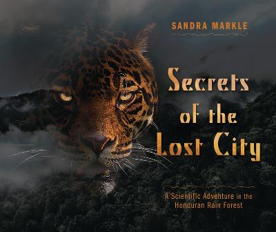 Cover of Secrets of the Lost City