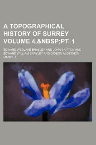 Cover of A Topographical History of Surrey Volume 4,