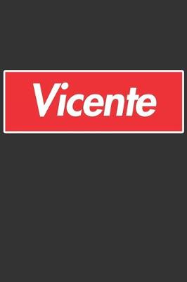 Book cover for Vicente