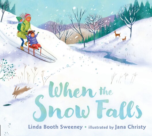 Book cover for When the Snow Falls