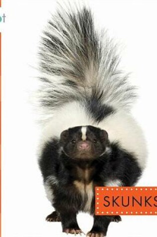 Cover of Skunks