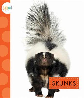 Book cover for Skunks