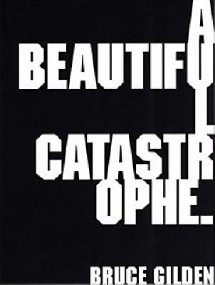 Book cover for A Beautiful Catastrophe