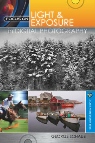 Cover of Focus on Light & Exposure in Digital Photography
