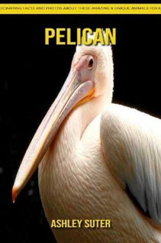 Cover of Pelican