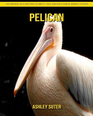 Book cover for Pelican