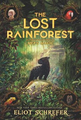 Book cover for The Lost Rainforest #1: Mez's Magic