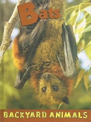 Cover of Bats