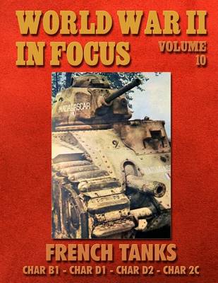 Book cover for World War II in Focus Volume 10