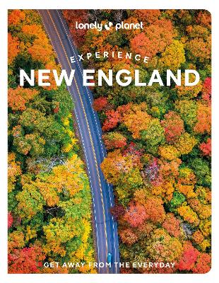 Book cover for Experience New England